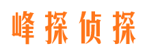 王益市侦探调查公司